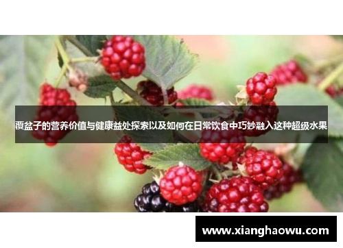 覆盆子的营养价值与健康益处探索以及如何在日常饮食中巧妙融入这种超级水果