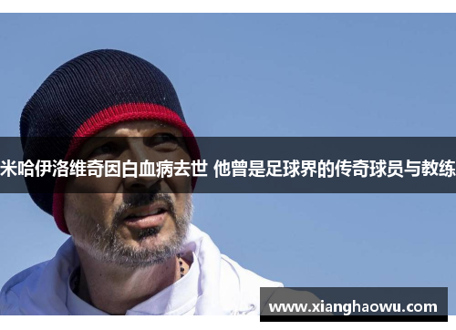 米哈伊洛维奇因白血病去世 他曾是足球界的传奇球员与教练